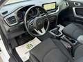 Kia Ceed SW / cee'd SW ceed SW 1,6 CRDi SCR ISG Silber Navi Kamera Sit... Weiß - thumbnail 9