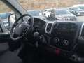 Fiat Ducato 33 L2H2 140 MAN Weiß - thumbnail 7