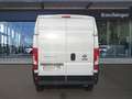 Fiat Ducato 33 L2H2 140 MAN Weiß - thumbnail 4
