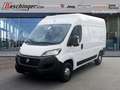 Fiat Ducato 33 L2H2 140 MAN Weiß - thumbnail 1