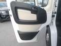 Fiat Ducato 33 L2H2 140 MAN Weiß - thumbnail 10