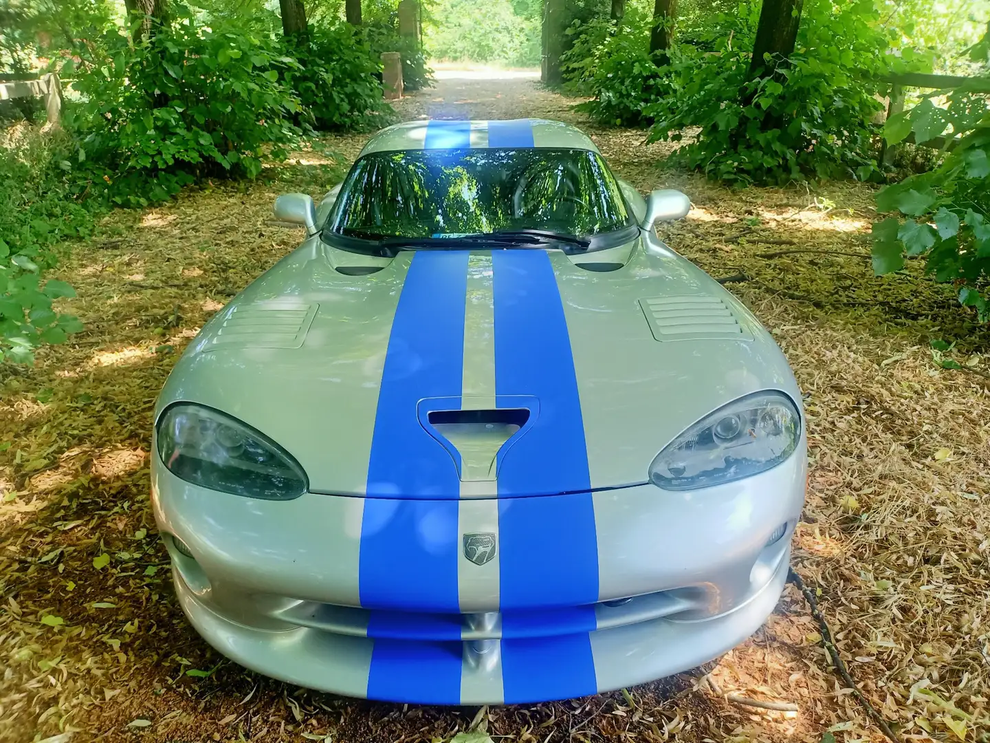 Chrysler Viper 8.0 L GTS V10 - 2