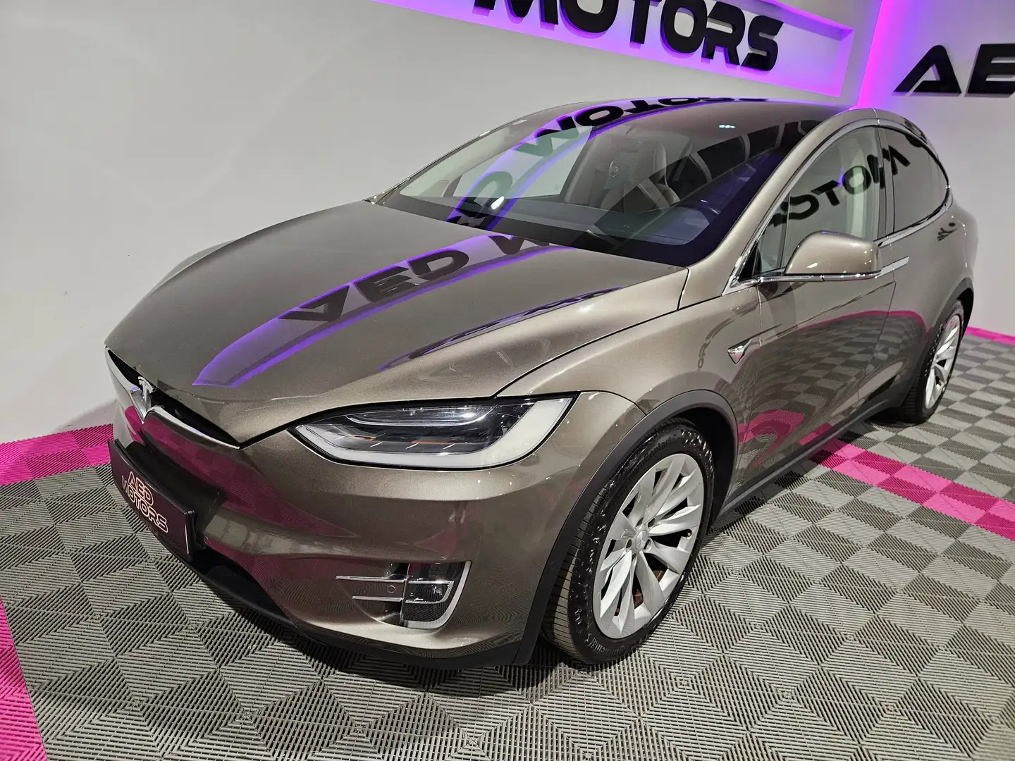 Tesla Model X Performance Dual Braun - 2