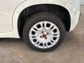 Fiat Panda 1.2 Easy 69 Cv - Bluetooth, Clima, Radio ecc Bianco - thumbnail 17