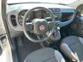 Fiat Panda 1.2 Easy 69 Cv - Bluetooth, Clima, Radio ecc Blanc - thumbnail 5