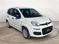 Fiat Panda 1.2 Easy 69 Cv - Bluetooth, Clima, Radio ecc Bianco - thumbnail 1