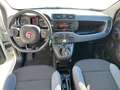 Fiat Panda 1.2 Easy 69 Cv - Bluetooth, Clima, Radio ecc Blanc - thumbnail 7