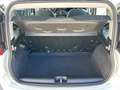 Fiat Panda 1.2 Easy 69 Cv - Bluetooth, Clima, Radio ecc Bianco - thumbnail 15