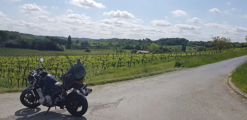 Suzuki Bandit 650 - foto 8