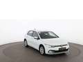 Volkswagen Golf VIII 2.0 TDI Life Aut LED RADAR NAVI SITZHZG Weiß - thumbnail 6