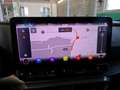 CUPRA Formentor 1.5 TSI DSG Pano Kamera Beats 360° Nav Grau - thumbnail 10