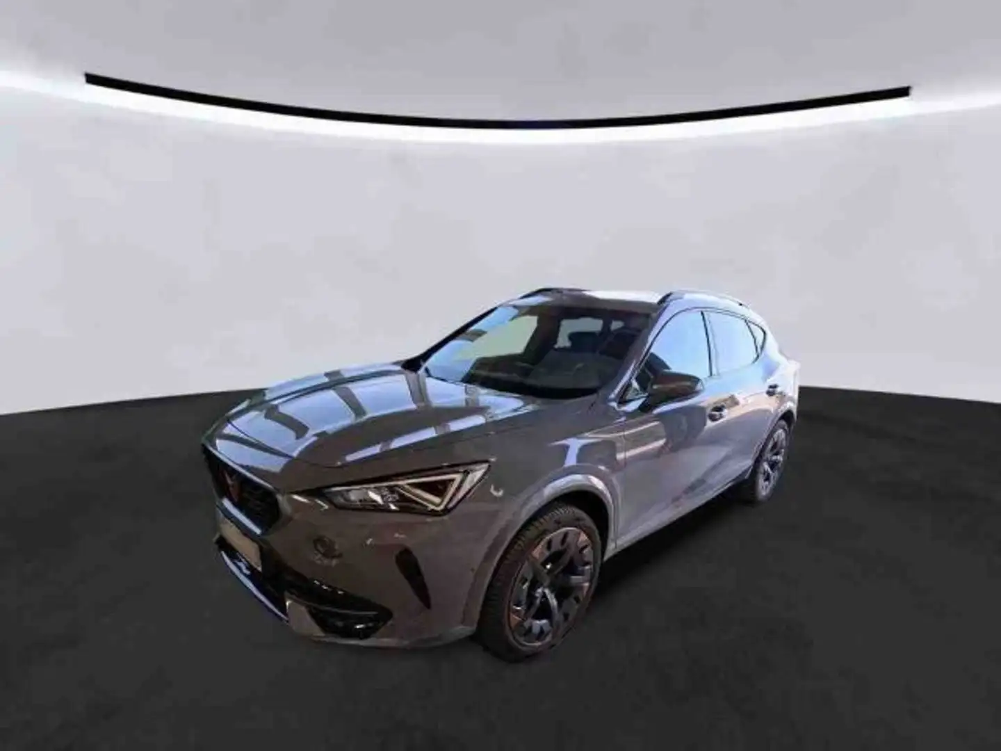 CUPRA Formentor 1.5 TSI DSG Pano Kamera Beats 360° Nav Grau - 2