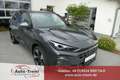 CUPRA Terramar 1.5 e-TSI 150 PS DSG AHK Matrix 20" Gravity Din... Grau - thumbnail 1