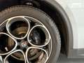 Alfa Romeo Stelvio 2.2 Diésel 154kW (210CV) Executive Q4 Gris - thumbnail 27