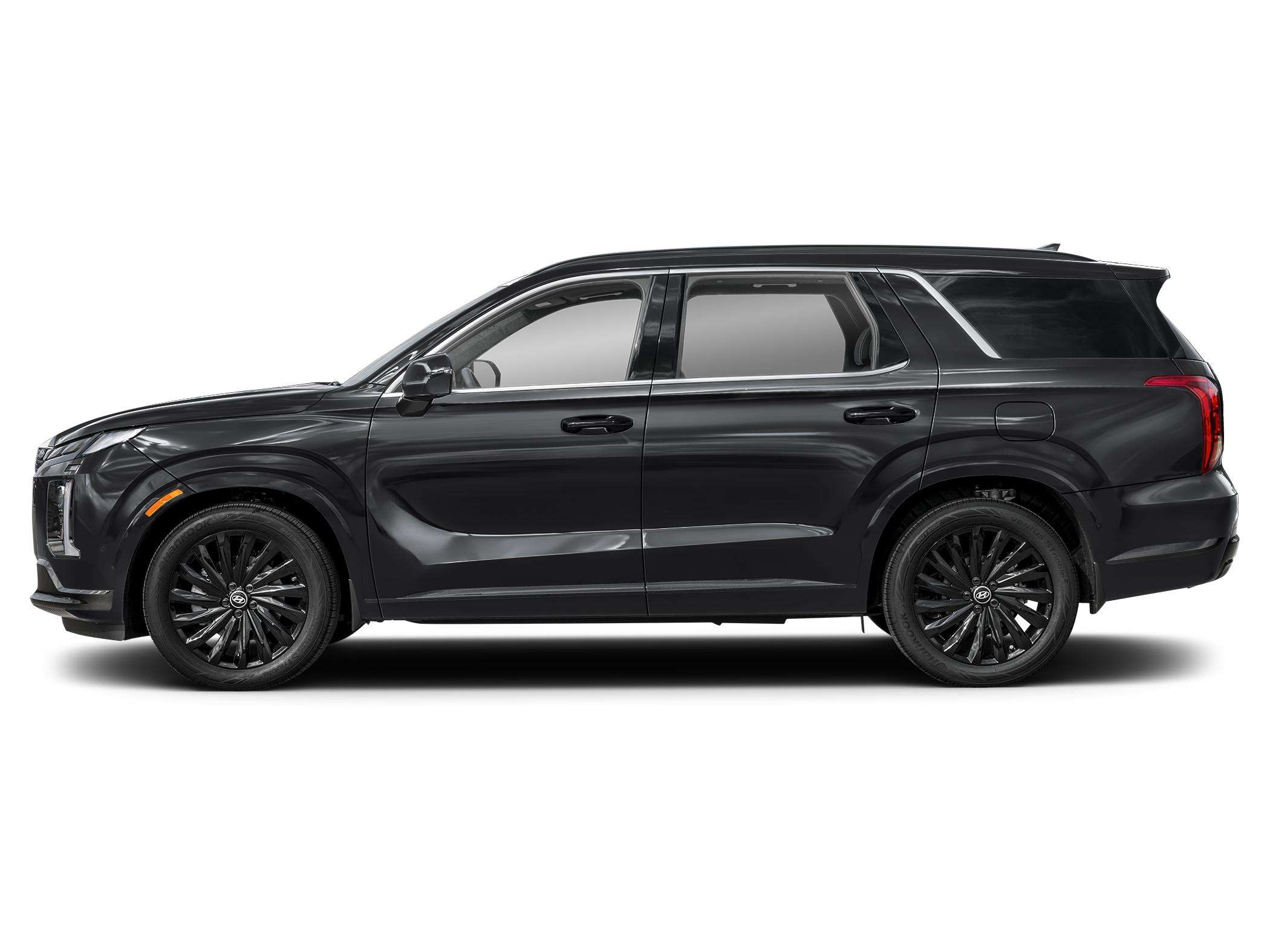 2025 Hyundai Palisade Ultimate Calligraphy Night — снимка 1