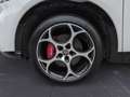 Alfa Romeo Tonale 1.5 160 CV MHEV TCT7 Veloce Bianco - thumbnail 13