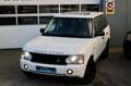 Land Rover Range Rover 4.2 V8 Supercharged|396 PK |Youngtimer Wit - thumbnail 2