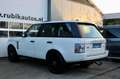 Land Rover Range Rover 4.2 V8 Supercharged|396 PK |Youngtimer Weiß - thumbnail 3