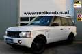 Land Rover Range Rover 4.2 V8 Supercharged|396 PK |Youngtimer bijela - thumbnail 1