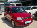 Fiat Panda 1.1 8V Rot - thumbnail 3