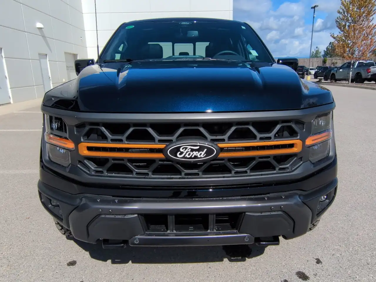 Ford F 150 снимка Ford F 150