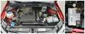 Volkswagen Polo Allstar BMT 1,2 TSI / Euro 6 / TÜV NEU Rot - thumbnail 7
