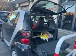 smart fortwo 190650km