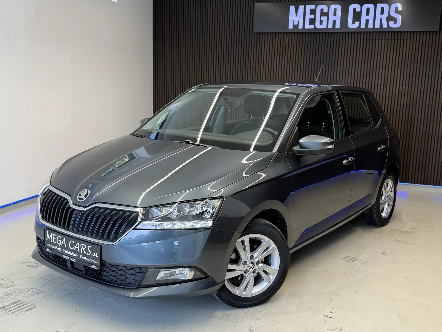 Skoda Fabia Ambition / 1-BESITZ / 20% MWST / RÜCKFAHRKAMERA Grau - 1