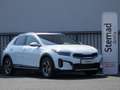 Kia XCeed 1,0 TGDI GPF Silber Weiß - thumbnail 2