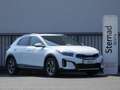 Kia XCeed 1,0 TGDI GPF Silber Weiß - thumbnail 1