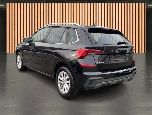Skoda Kamiq view 8