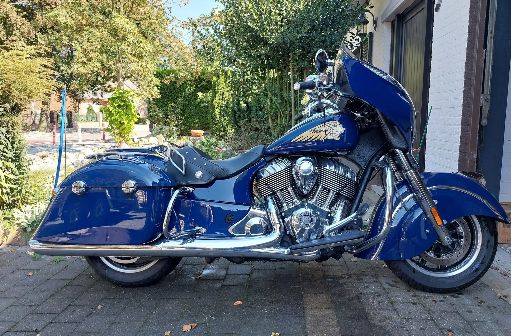 Indian Chieftain Blue - 2