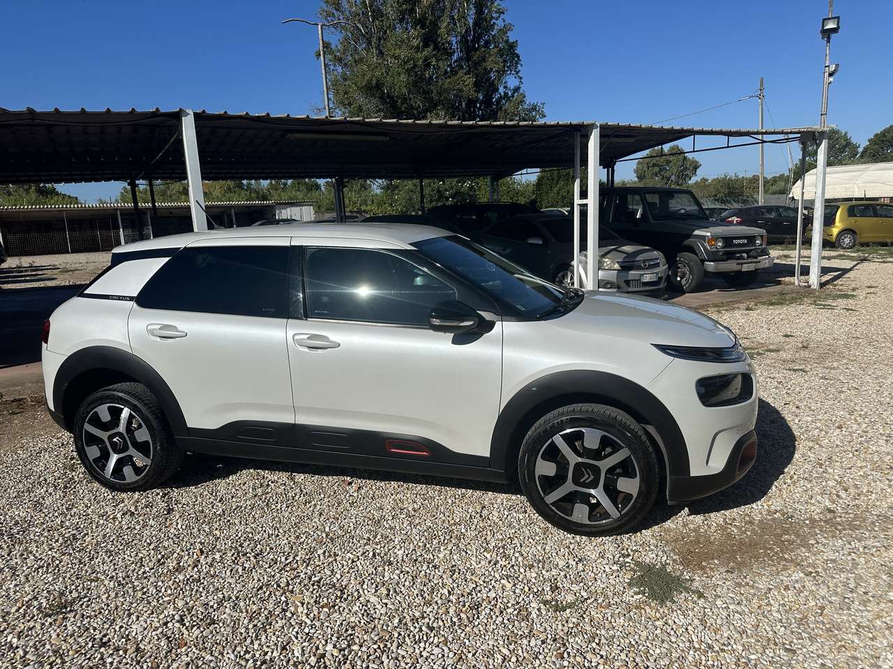 Citroen C4 Cactus 1.5 bluehdi Shine Pack s&s 120cv eat6