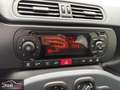 Fiat Panda 1.0 FireFly 70 Cv Hybrid - CHILOMETRI CERTIFICATI Grigio - thumbnail 10