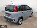 Fiat Panda 1.0 FireFly 70 Cv Hybrid - CHILOMETRI CERTIFICATI Grau - thumbnail 4