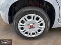 Fiat Panda 1.0 FireFly 70 Cv Hybrid - CHILOMETRI CERTIFICATI Grigio - thumbnail 15