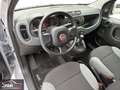 Fiat Panda 1.0 FireFly 70 Cv Hybrid - CHILOMETRI CERTIFICATI Grau - thumbnail 5