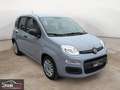Fiat Panda 1.0 FireFly 70 Cv Hybrid - CHILOMETRI CERTIFICATI Grau - thumbnail 1