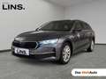 Skoda Octavia Selection TDI DSG Grau - thumbnail 1