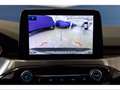 Ford Kuga 2.5 Plug In Hybrid 225 CV CVT 2WD Titanium Busines Grigio - thumbnail 12