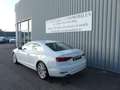 Audi 90 2.0 TDI 190 Avus S tronic 7 Blanco - thumbnail 3