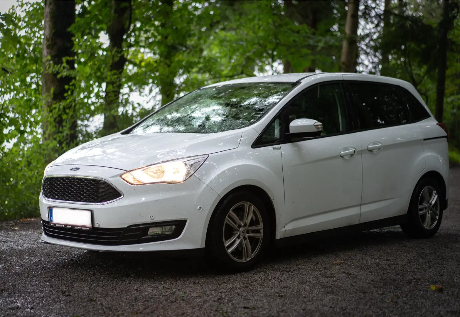 Ford Grand C-Max mit 2 Schiebetüren und elektr. Heckklappe - 1
