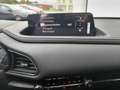 Mazda CX-30 2.5L e-SKYACTIV G 140ps 6MT FWD Homura Gris - thumbnail 12