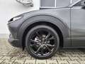 Mazda CX-30 2.5L e-SKYACTIV G 140ps 6MT FWD Homura Gris - thumbnail 15
