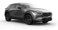 Mazda CX-30 2.5L e-SKYACTIV G 140ps 6MT FWD Homura Grau - thumbnail 8