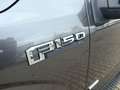 Ford F 150 XL STX 4x4 Grey - thumbnail 19
