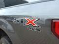 Ford F 150 XL STX 4x4 siva - thumbnail 20