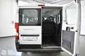 Fiat Ducato 30 2.3 MJT 140CV PC-TN Combi 9 posti Bianco - thumbnail 6
