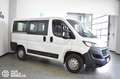 Fiat Ducato 30 2.3 MJT 140CV PC-TN Combi 9 posti Bianco - thumbnail 1