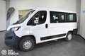 Fiat Ducato 30 2.3 MJT 140CV PC-TN Combi 9 posti Bianco - thumbnail 3